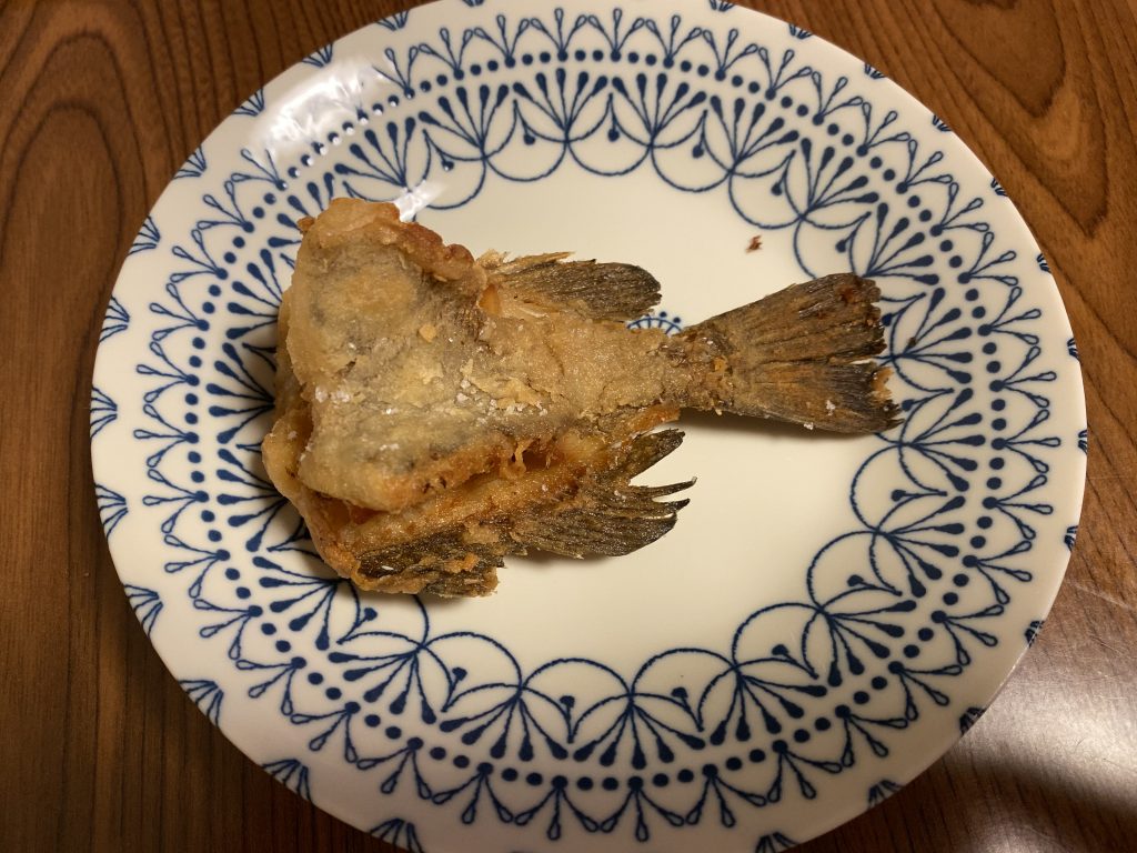 10月最後の釣り アジの南蛮漬けとメバルの唐揚げ 富山 釣り ブログ 釣れない家族の成長日誌 10月最後の釣り アジの南蛮漬けとメバルの唐揚げ 富山 釣り ブログ 釣れない家族の成長日誌