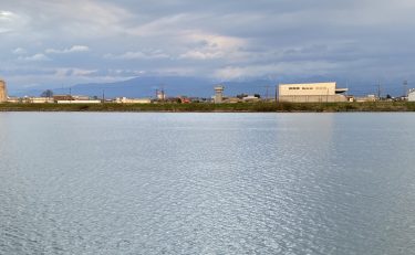 5月23日神通川釣果