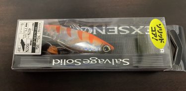 サルベージでクロダイ