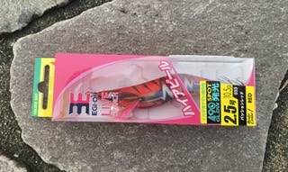 アオリイカとシーバス