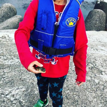 ロデム4 がやっぱり釣れる