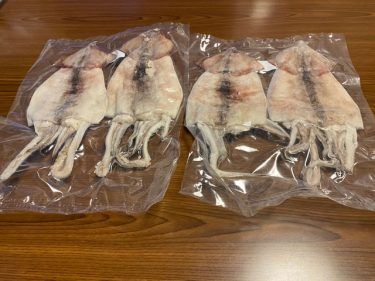 エギング釣れなくなってきた