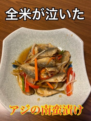 アジングvsサビキ どっちが沢山釣れるのか 富山 釣り ブログ 釣れない家族の成長日誌 アジングvsサビキ どっちが沢山釣れるのか 富山 釣り ブログ 釣れない家族の成長日誌