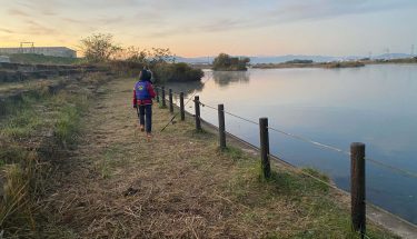 シーバス1時間勝負