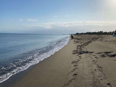 シーバス・クロダイ釣り