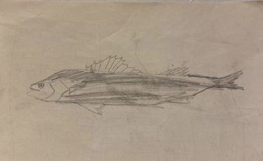 投げないシーバス釣り