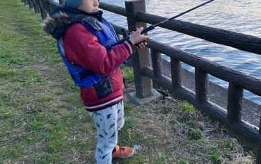ウグイが増えてきましたね