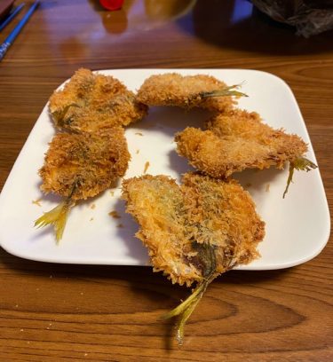 新しいアジの釣り方