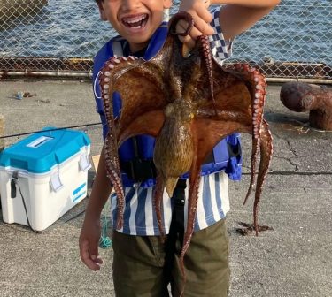 夜釣りでタコ釣り