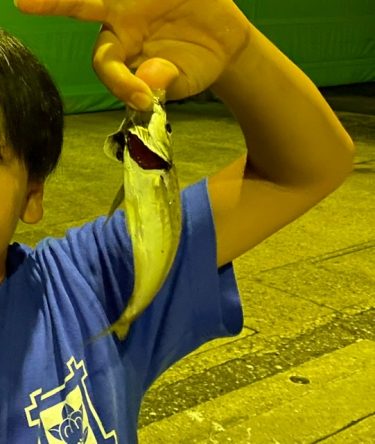 アジの南蛮漬けを食べたい