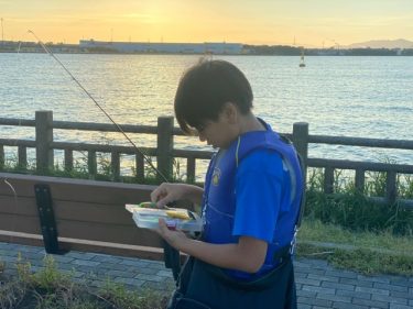 テクトロシーバス