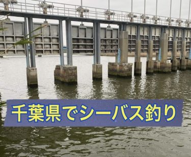 千葉で魚釣り