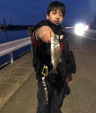 ３ヶ月ぶりのシーバス